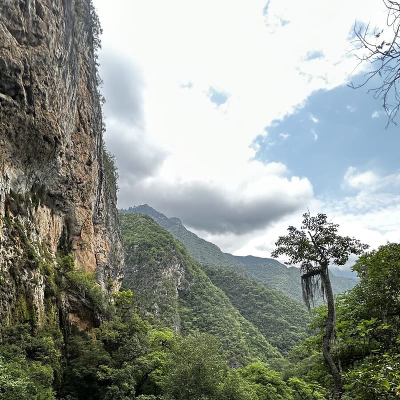 Cañón boscoso de la Sierra Madre camino a la poza del Chipitín